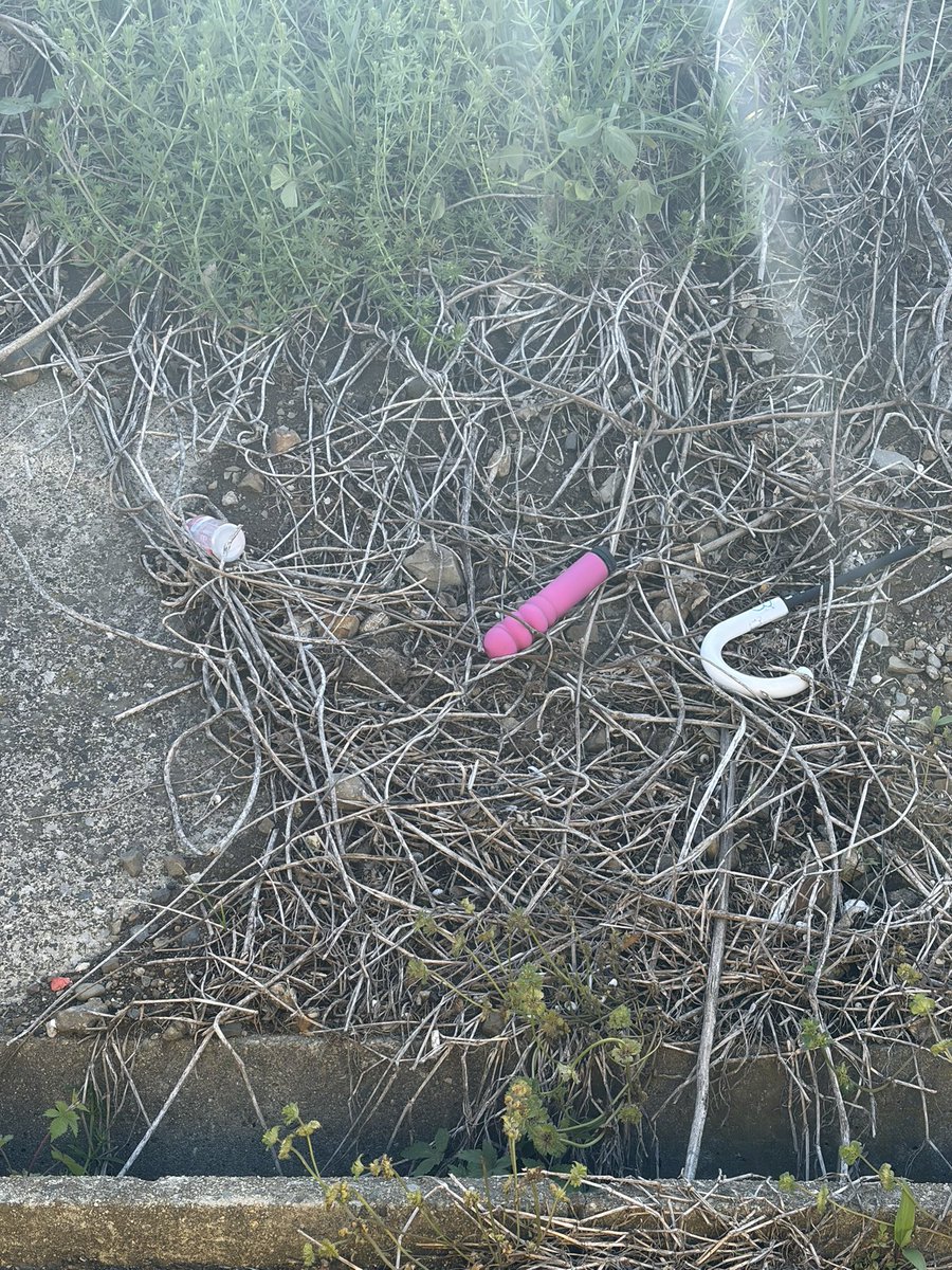 たけの仔 tweet media