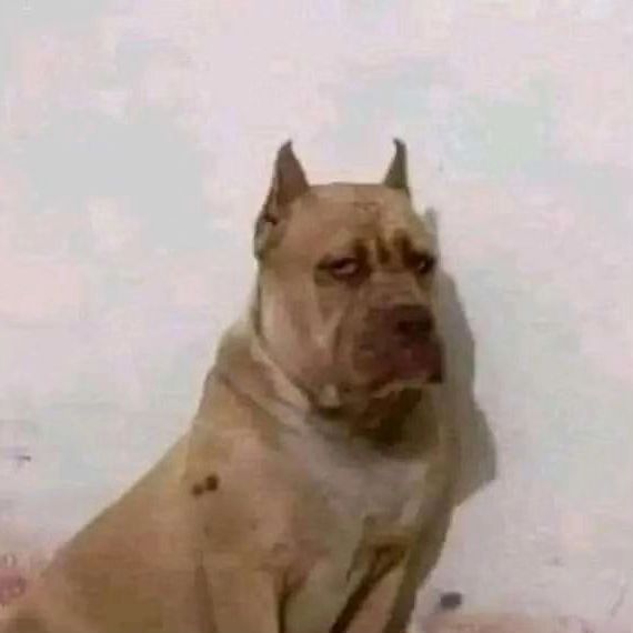 amelia1787529's tweet photo. Mi honesta reacción cuándo un pendejito con complejo de salvador quiere "curarme" o cree que puede cambiarme. https://t.co/ZyPUDi2yUw