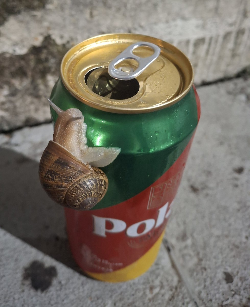 Caracol bebendo uma cervejinha.