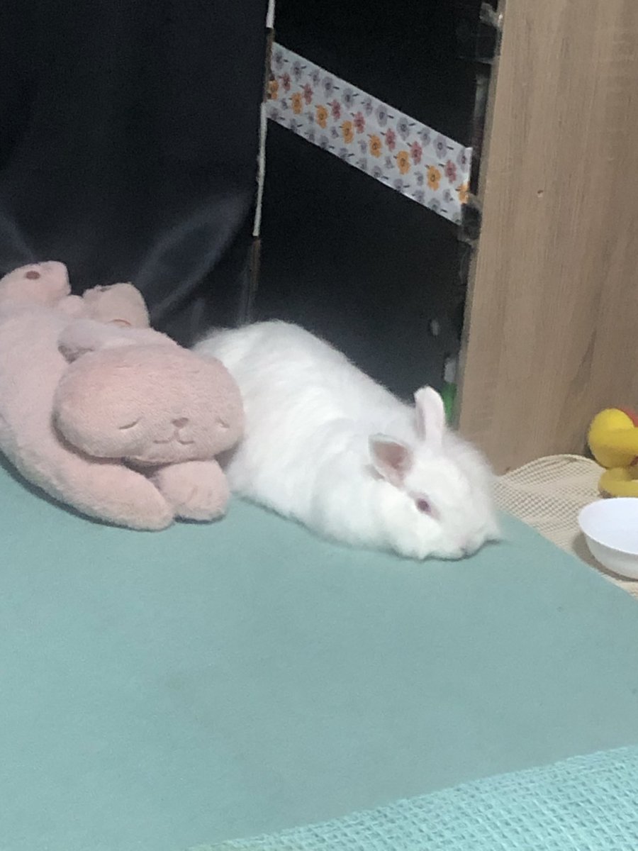 タカユキ tweet media