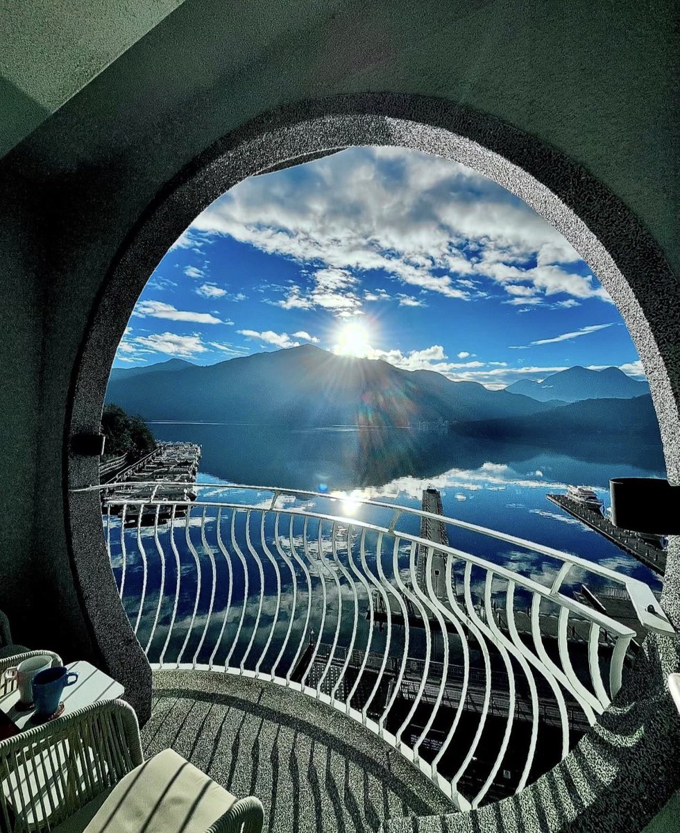 DD❤️/🕊️/DOGE tweet media