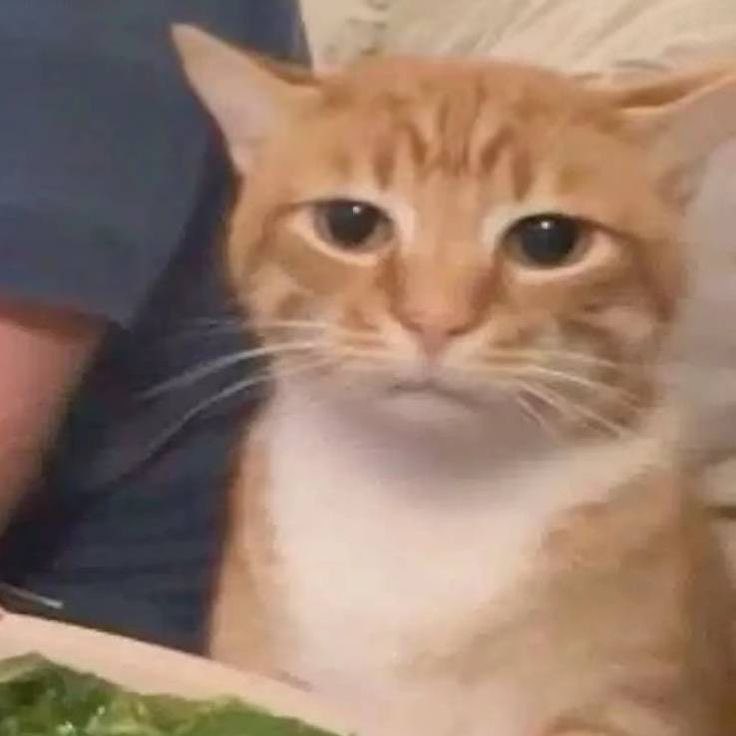 Abdullah Kashif tweet media