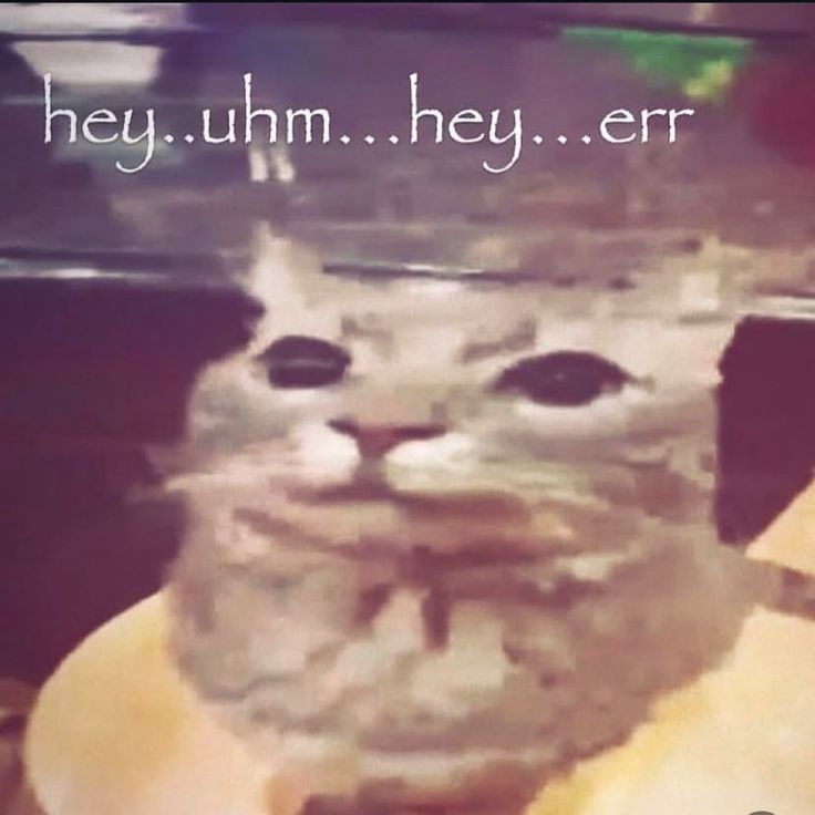 i drink soup tweet media