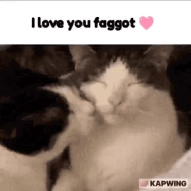 i drink soup tweet media