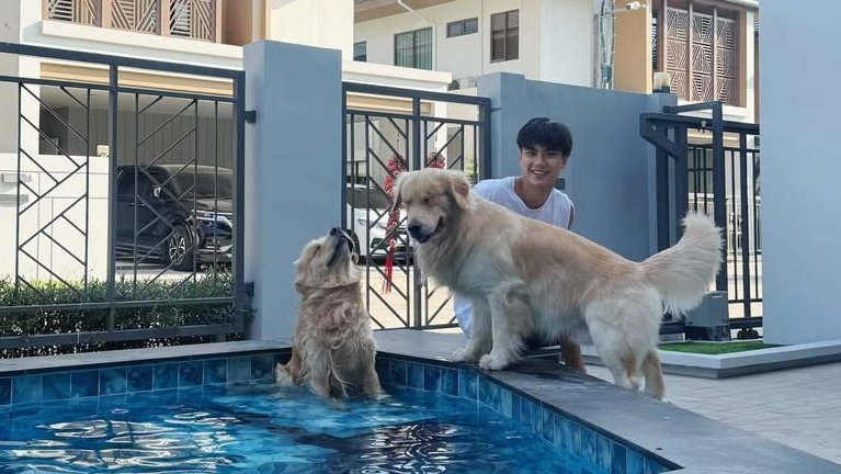 Amante del BL🍊🥬🌽🦆 tweet media