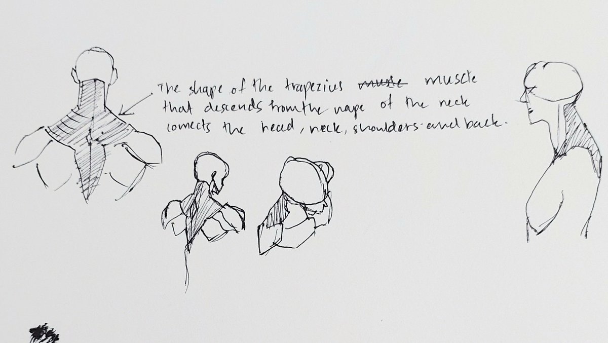 oversyr (uninstalled) tweet media