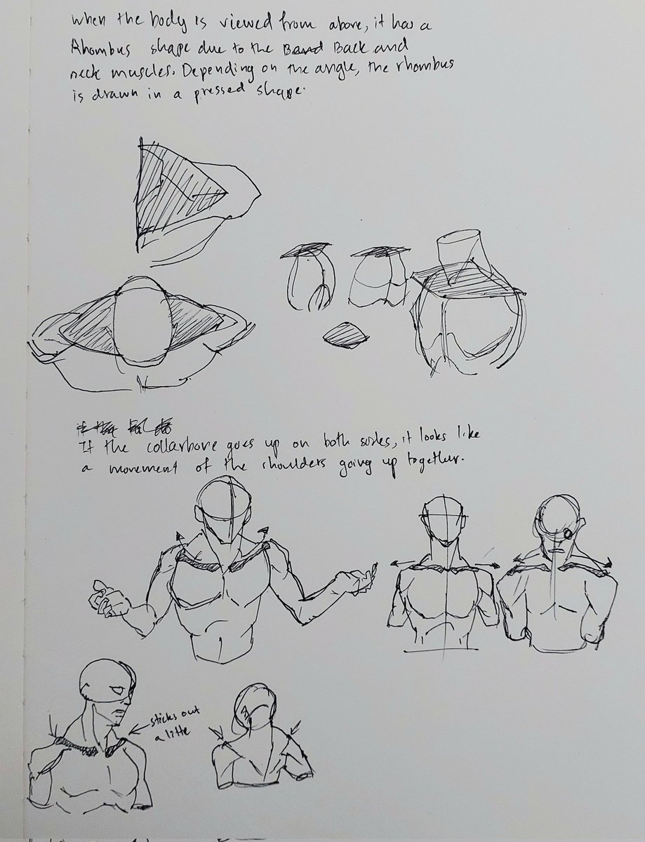 oversyr (uninstalled) tweet media