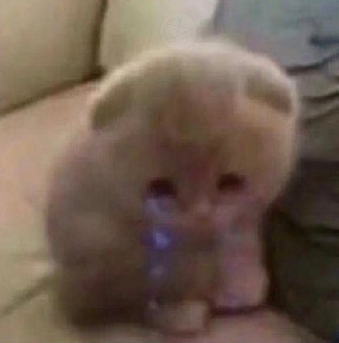 Finn Hudson tweet media