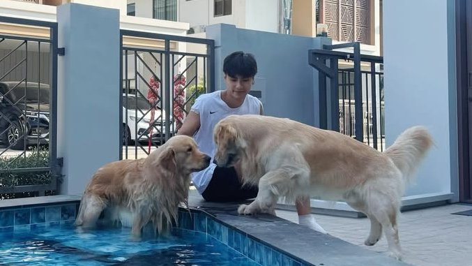 Amante del BL🍊🥬🌽🦆 tweet media