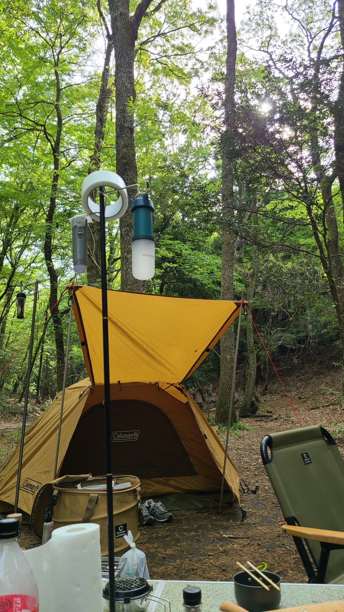 朝。
11℃。

薄ら寒い。