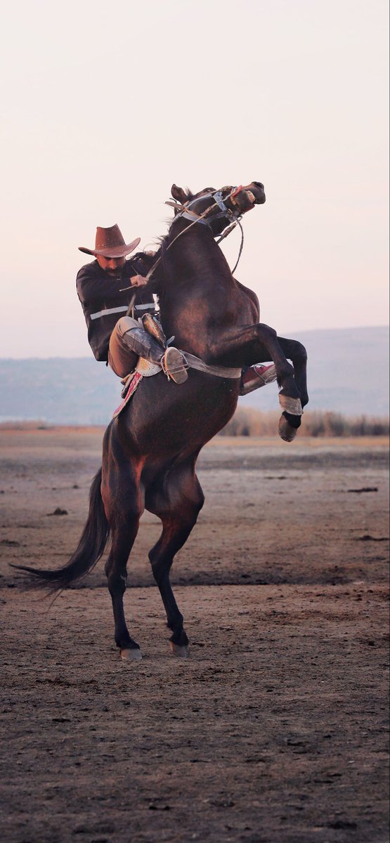 ＊Sanako＊ tweet media