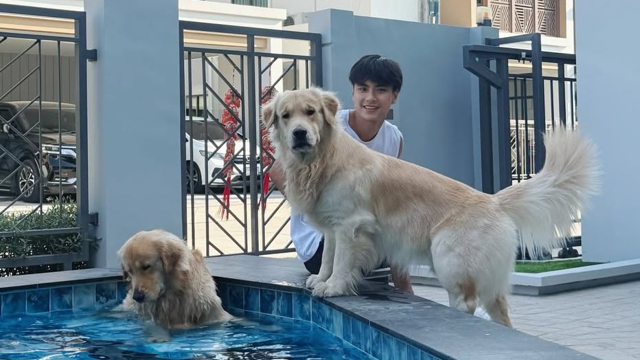 Amante del BL🍊🥬🌽🦆 tweet media