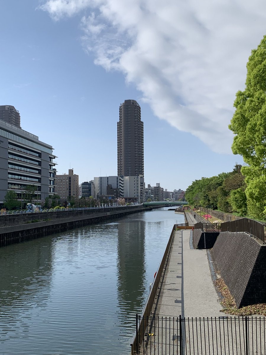 パク・ギブソン（磁気弦） tweet media