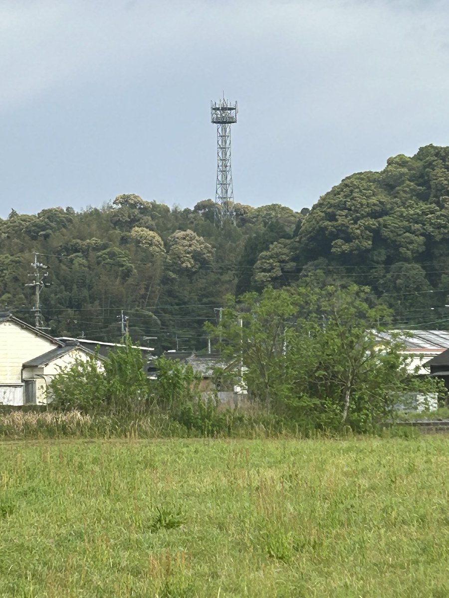 薔薇の花（こみたん） tweet media