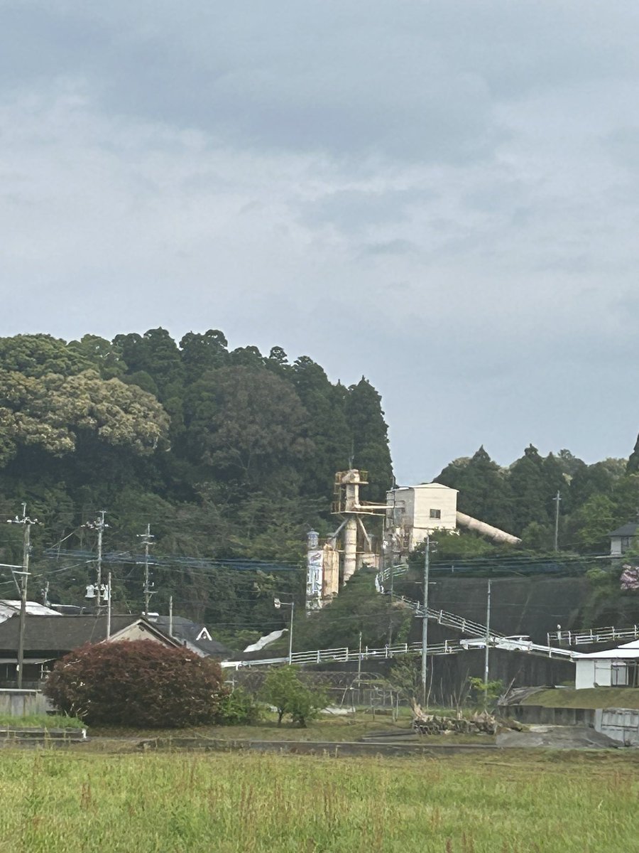 薔薇の花（こみたん） tweet media