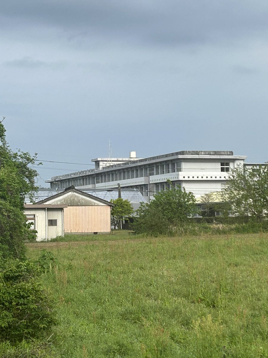 薔薇の花（こみたん） tweet media