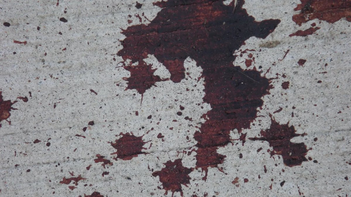 TorPoet's tweet image. Flashback Friday

Defeated (2016)

topoet.ca/2016/04/20/def…

#Toronto #flashback #Friday #archives #tenyearsago #repost #memory #WordPress #photography #amwriting #poetry #Ontario