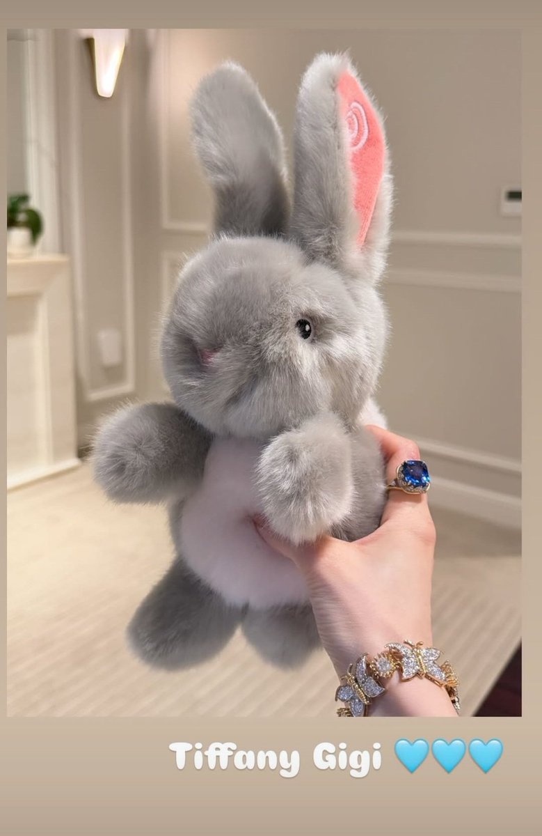 아 ㅋㅋㅋㅋ 티파니에서 토끼 인형 주셧나봐 
Tiffany Gigi🩵🩵 이러넼ㅋㅋㅋㅋㅋㅋㅋㅋ