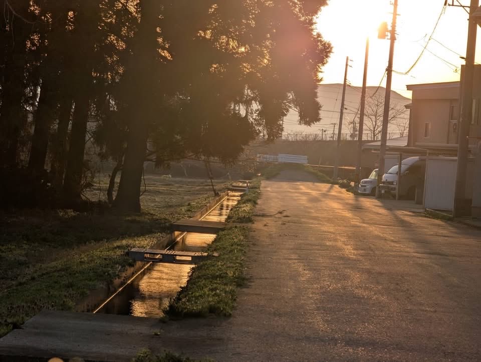 ブランカ tweet media