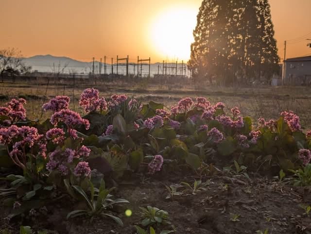 ブランカ tweet media