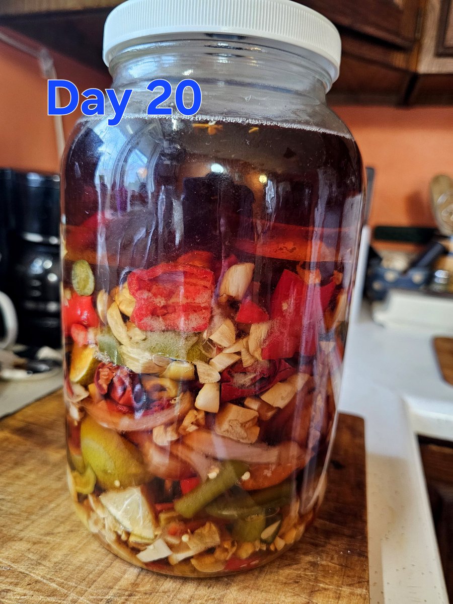XRPcook's tweet image. #hotsauce #hot #sauce #homemade #spicy #diy #chili #pepper #garlic #raspberry #lime #waiting #ferment #day #twenty