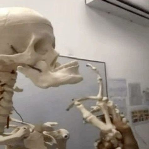 aspirante a artista tweet media