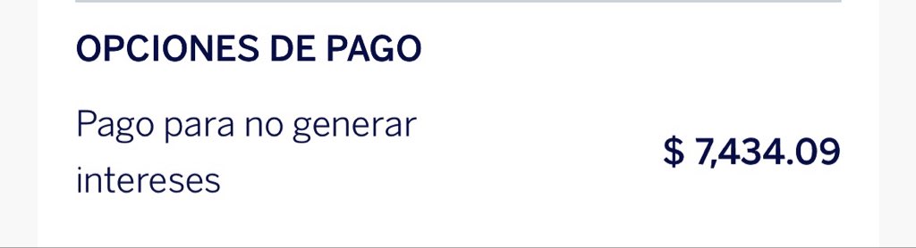 ☪︎ regina tweet media