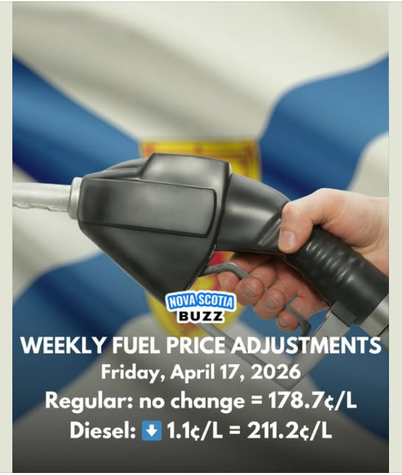 Melanie 🇨🇦 tweet media