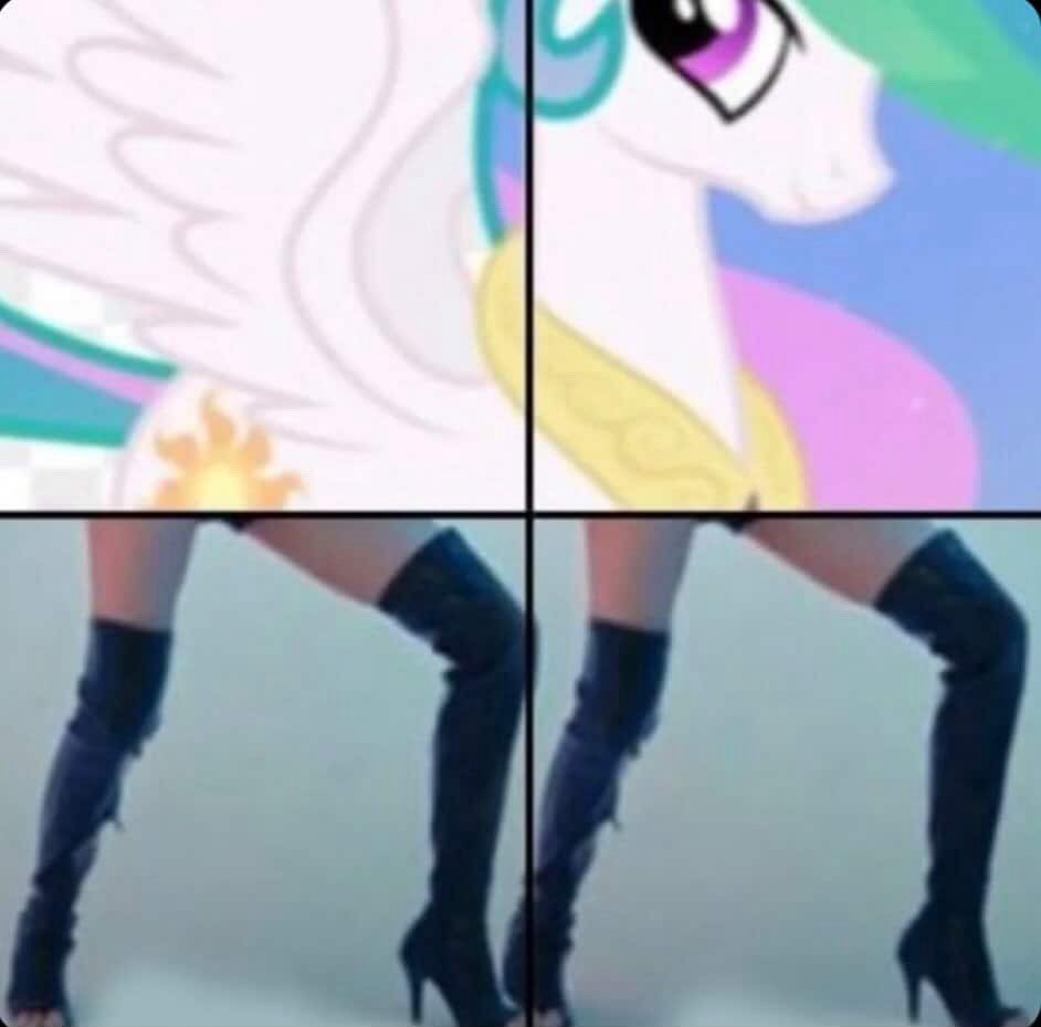 Birdie🇮🇳 tweet media