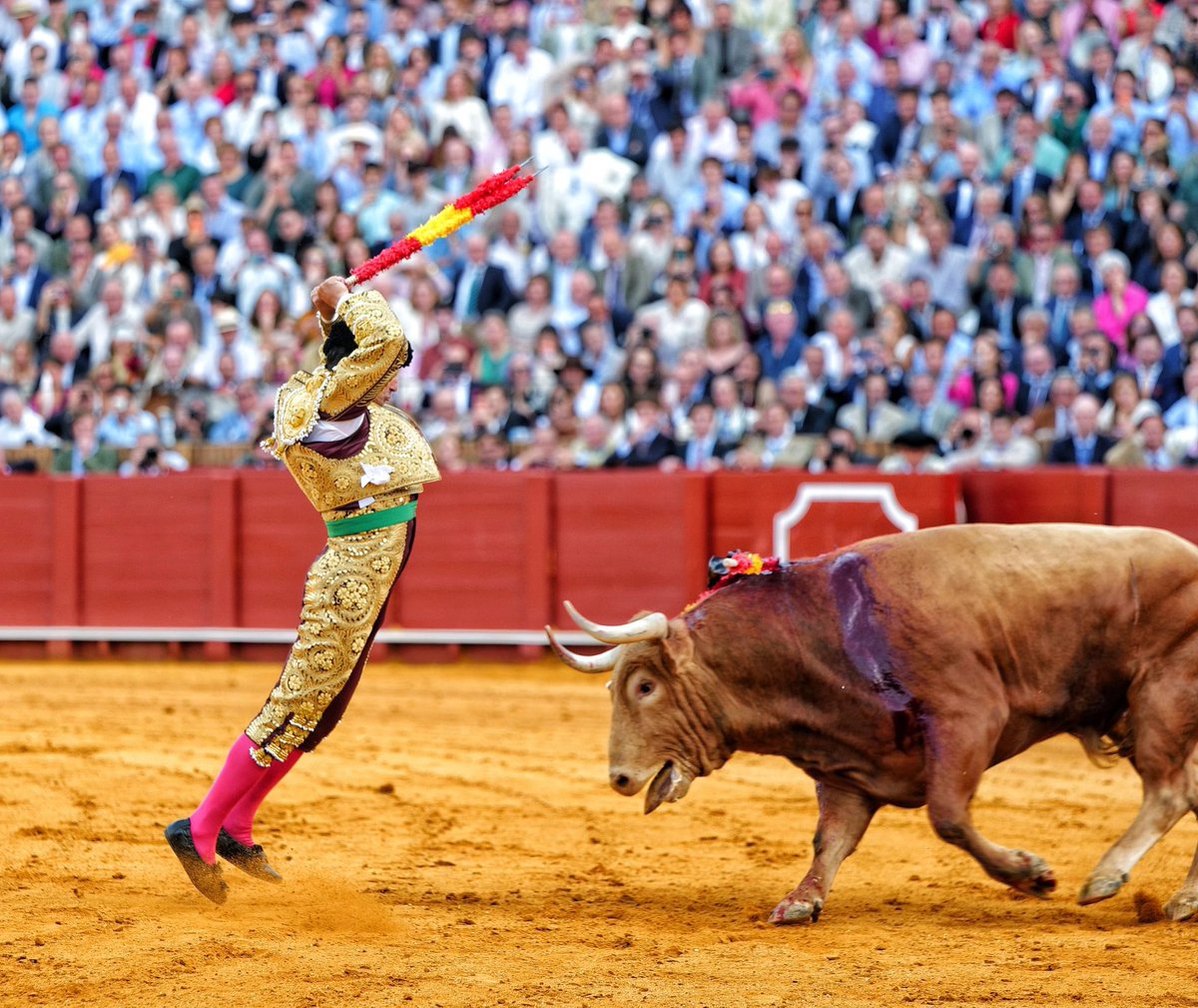 Alberto Palacios tweet media