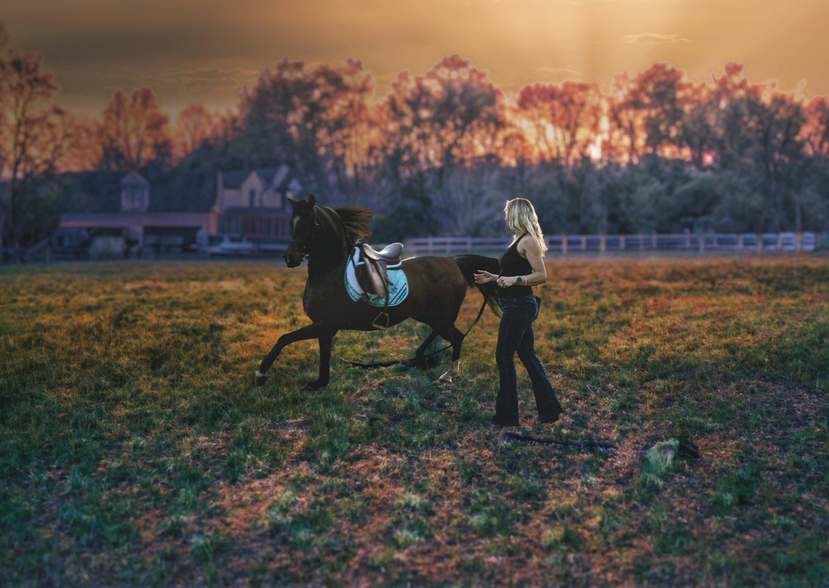 BigJeffEnergy tweet media