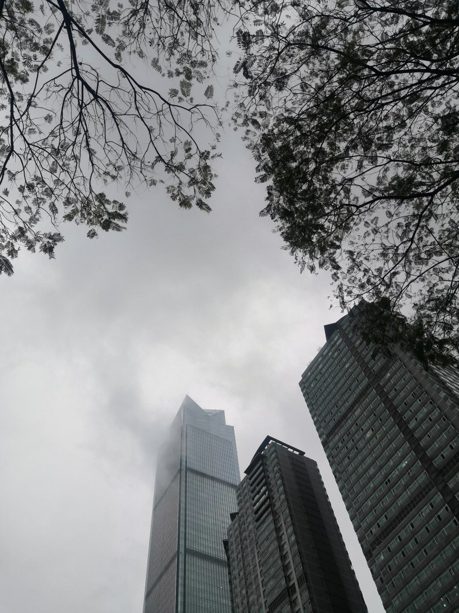 Toni Gandy tweet media