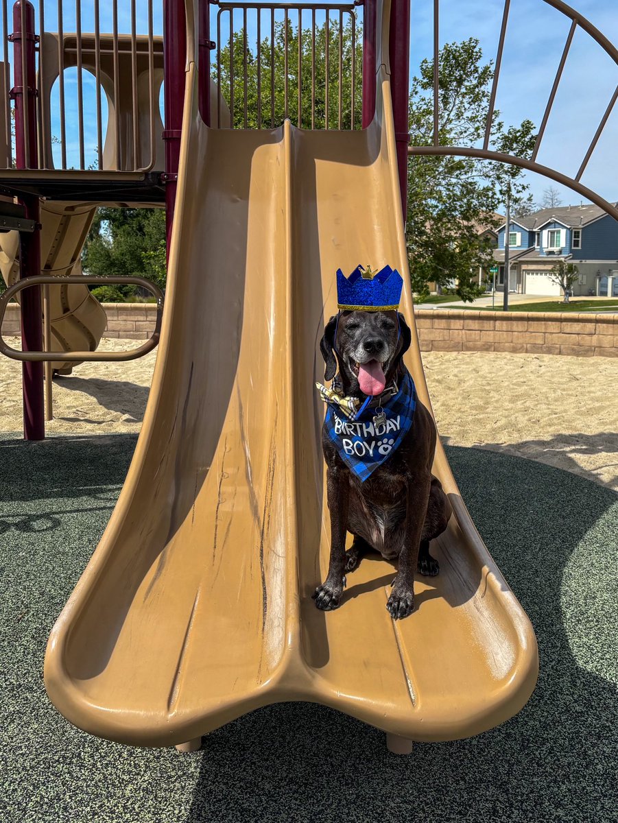 SBC Probation tweet media