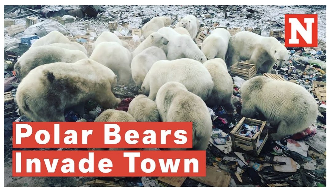 Fmr. Rep. Jason Isaac tweet media