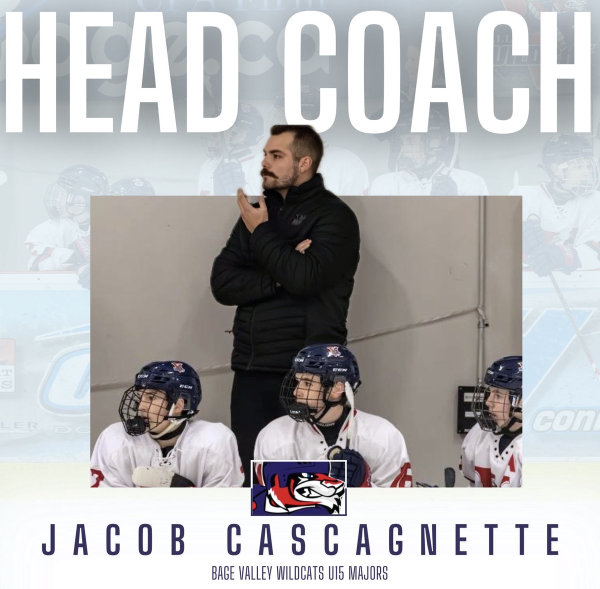 Valley Wildcats U15 Majors tweet media