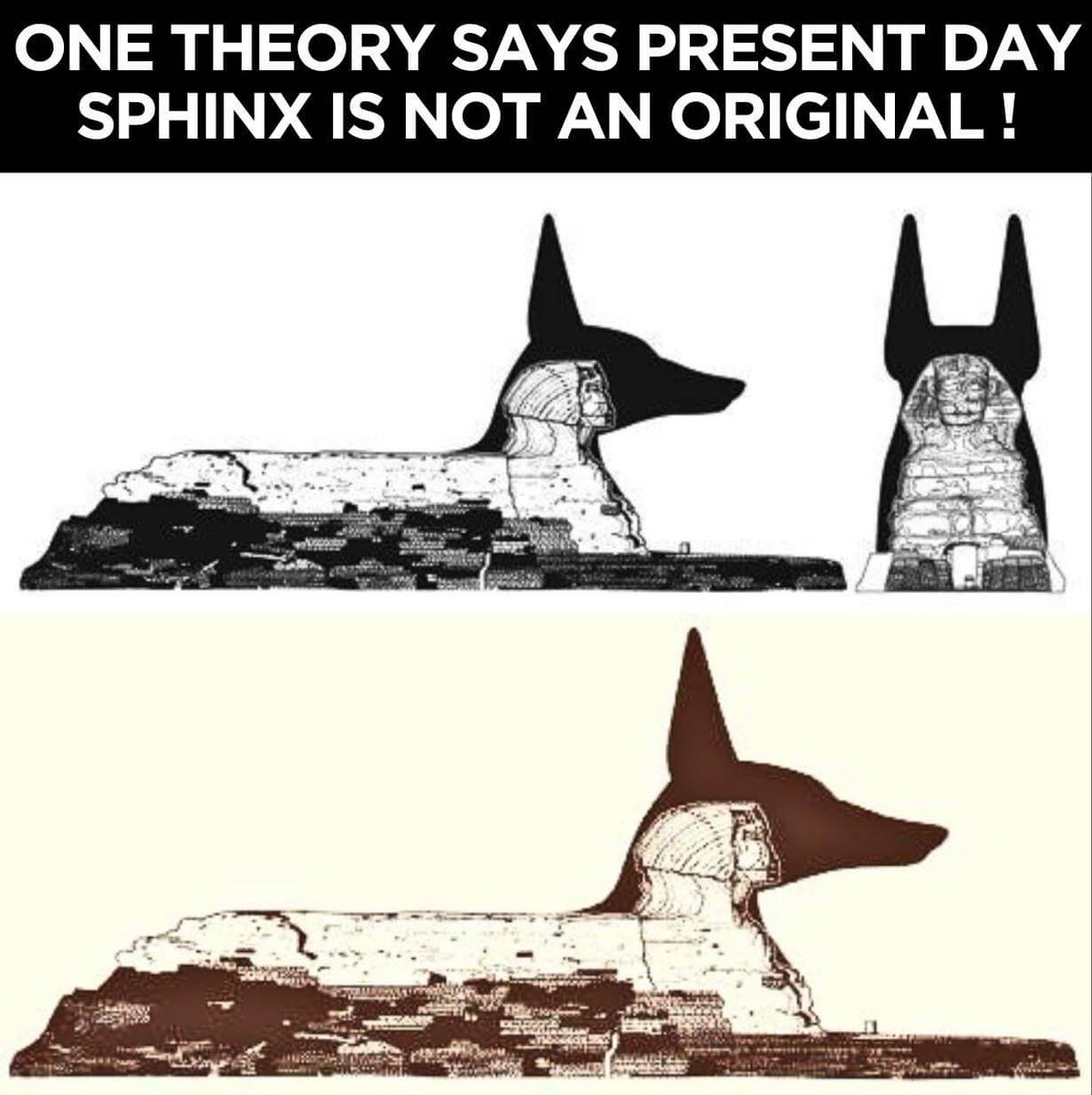 Forgotten History tweet media