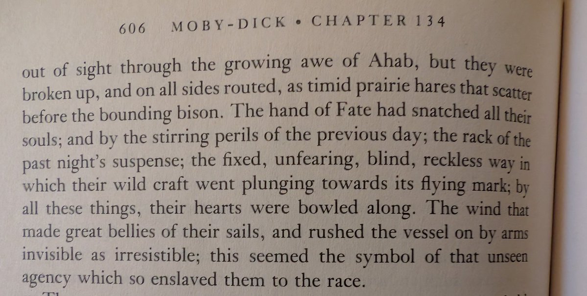 trecregin's tweet image. #mobydick
