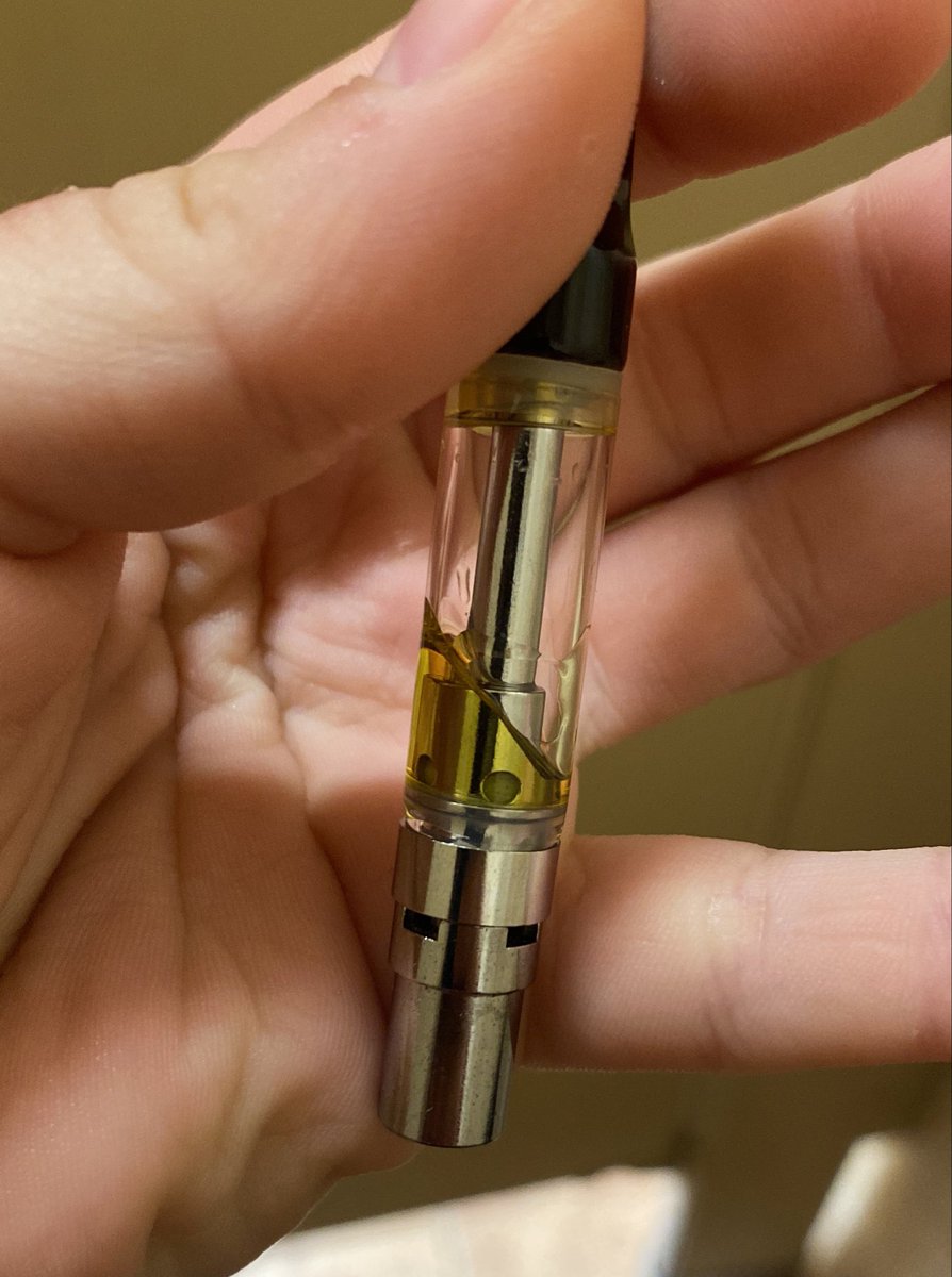 Tai🪼🍃🌌 tweet media