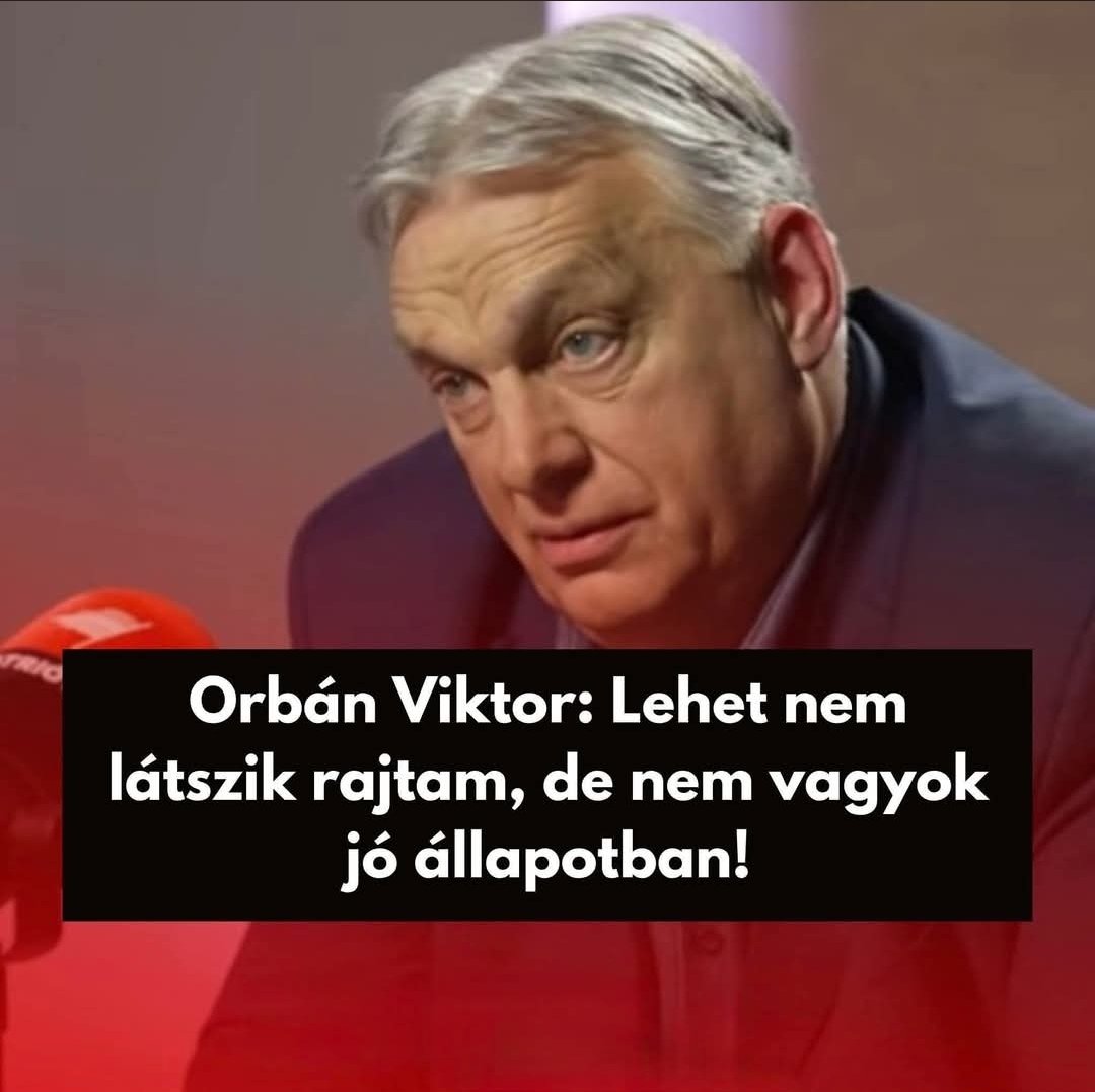 Stormkolako tweet media