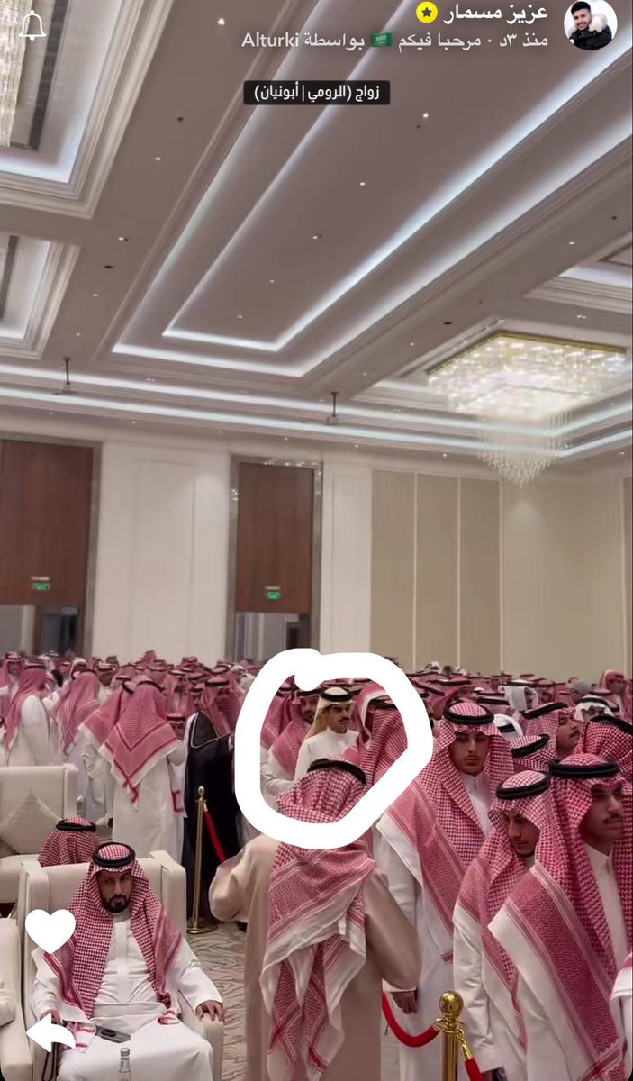 𝖲𝖺𝗋𝖺. tweet media