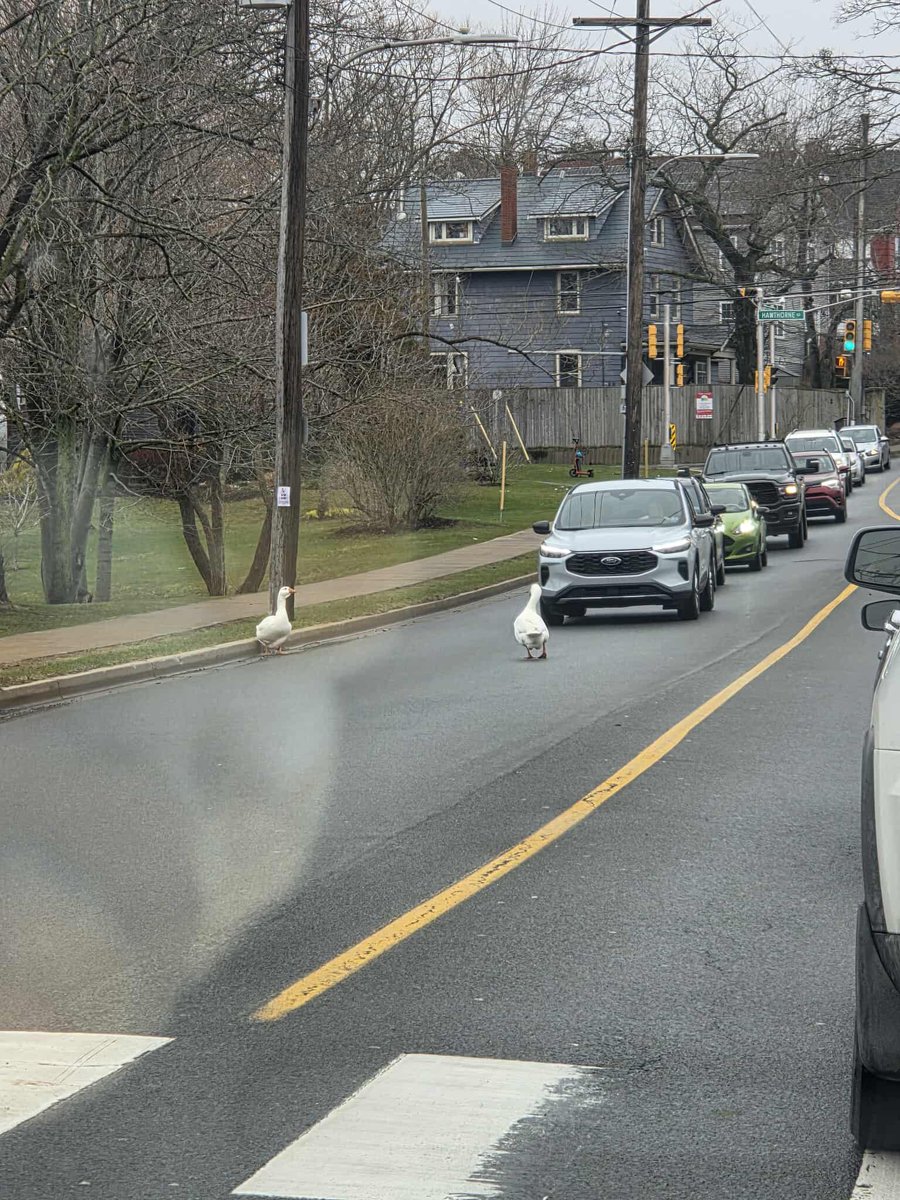 Q104Halifax tweet media