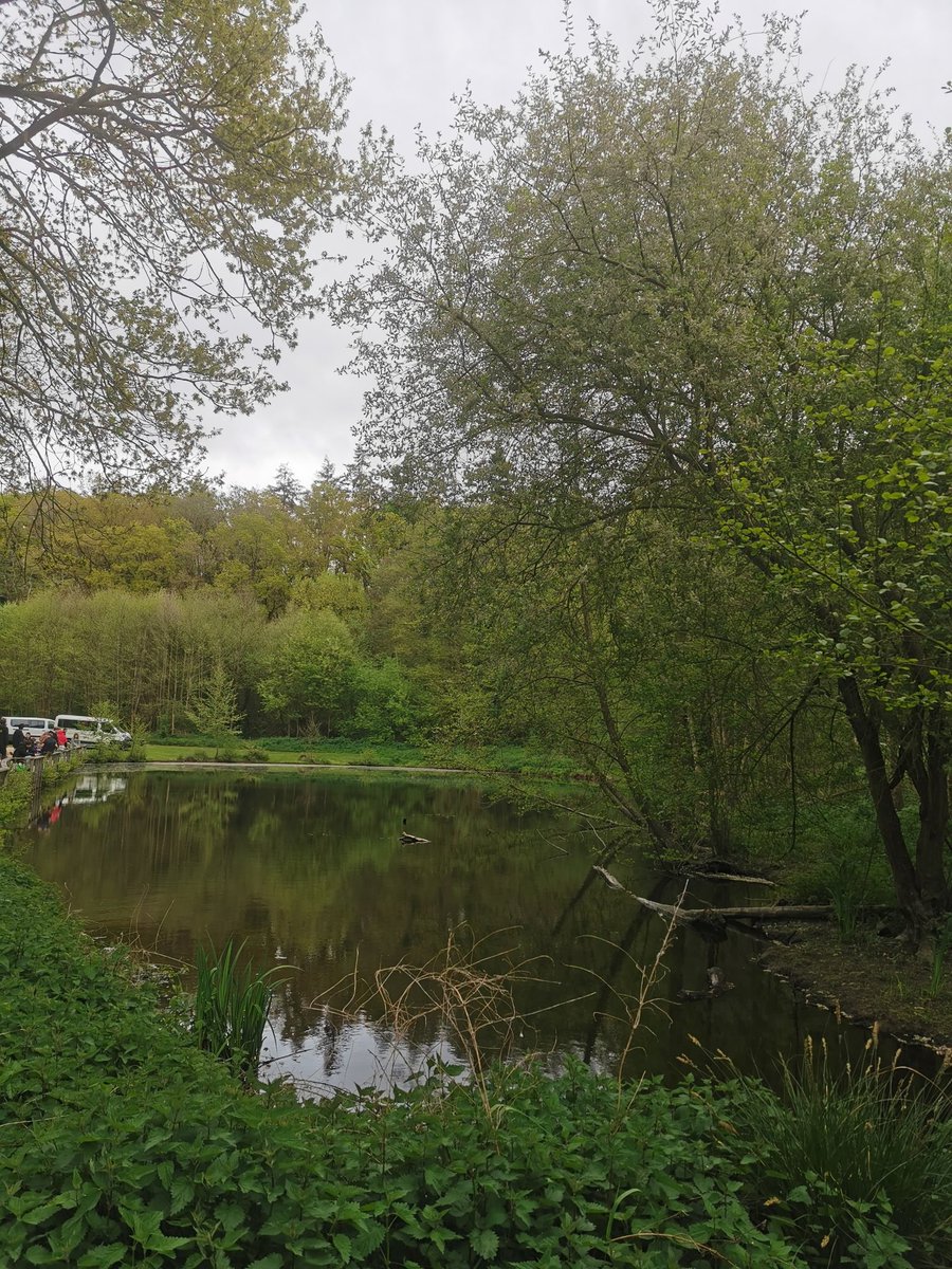 CarlaBZH's tweet image. Belle #balade autour du lac de #JugonLesLacs. C'est agréable et apaisant. Nous sommes en pleine #nature. Les gens, que je croise, sont détendus. Parfois, j'entame une discution avec eux. J'aime beaucoup cet endroit ! 👍😍 #Bretagne