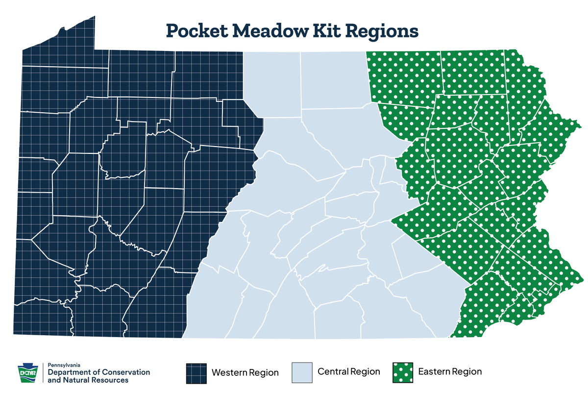 DCNRnews's tweet photo. Free Pocket Meadow Kits are coming soon! 🌼

Starting April 21, PA residents can apply for native seed kits to convert up to 1,000 square feet of lawn into pollinator habitat! Limited amounts will be available.
 
Learn more: https://t.co/2RjPBPCZAr https://t.co/eBXxH1Wd9r