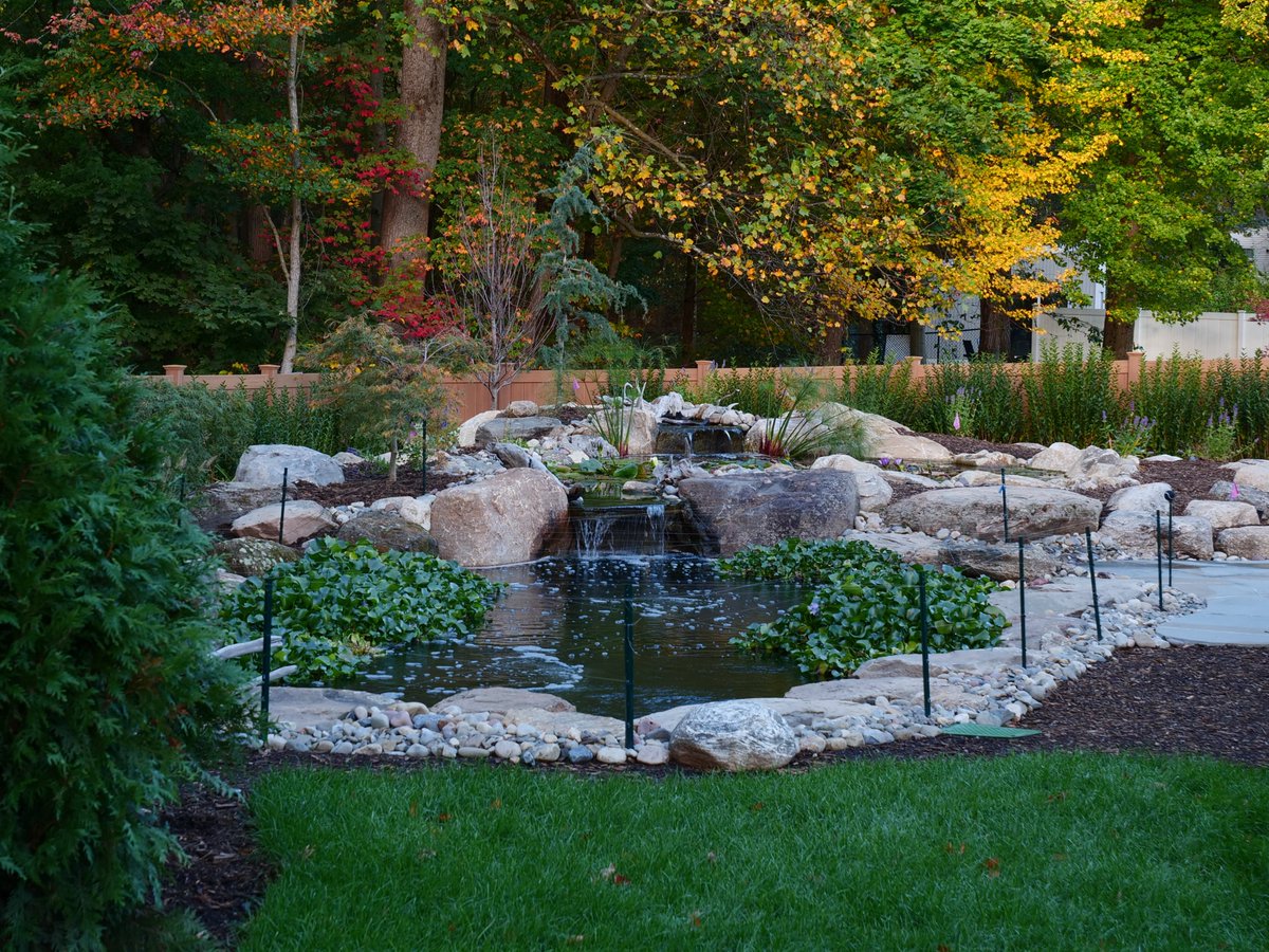GardenStateKoi's tweet image. Rethink what your backyard can be. Visit gardenstatekoi.com and get inspired today. #LandscapeDesign #OutdoorOasis #BackardPond