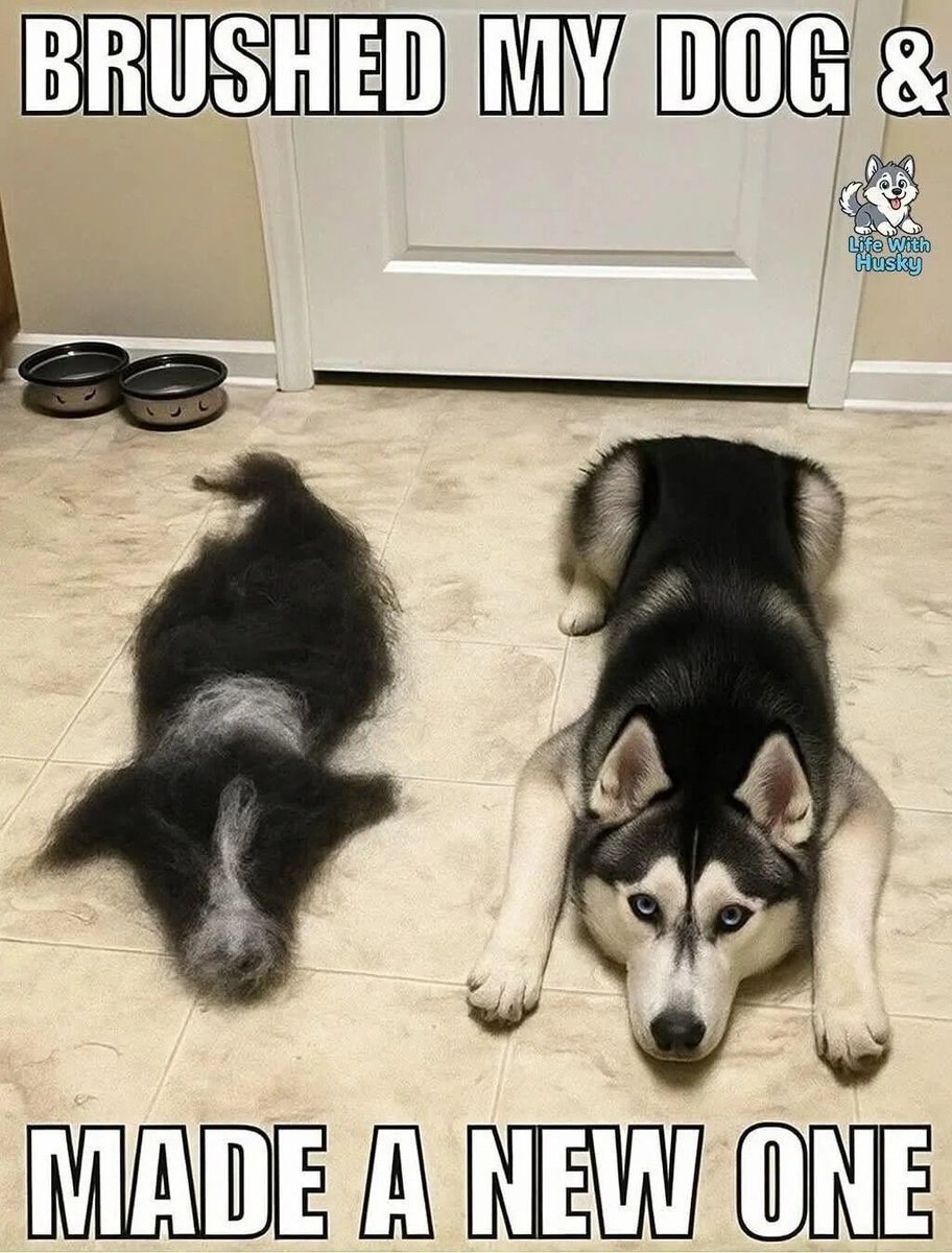 WholesomeMemes tweet media