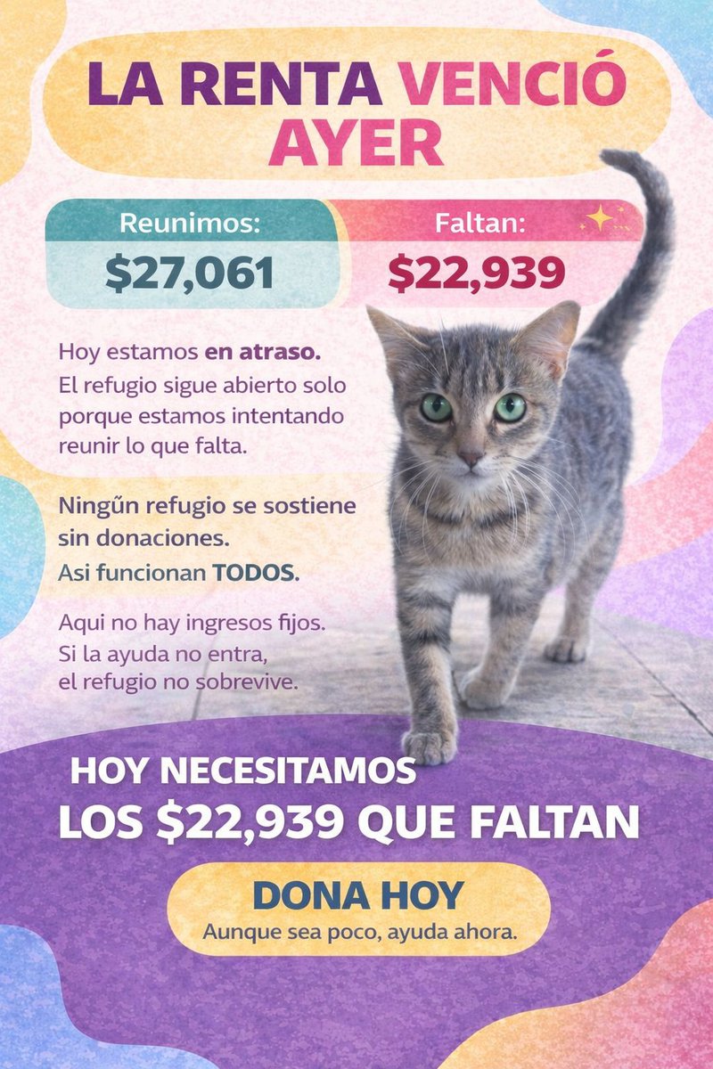 Fundación Toby tweet media