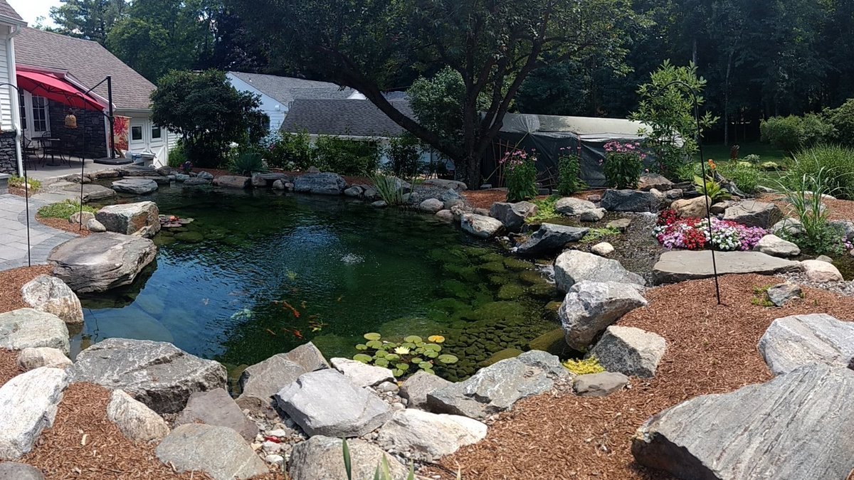 GardenStateKoi's tweet image. Rethink what your backyard can be. Visit gardenstatekoi.com and get inspired today. #LandscapeDesign #OutdoorOasis #BackardPond