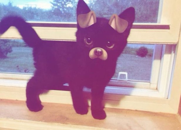 ˚✮🎧 ˚ .⋆ tweet media