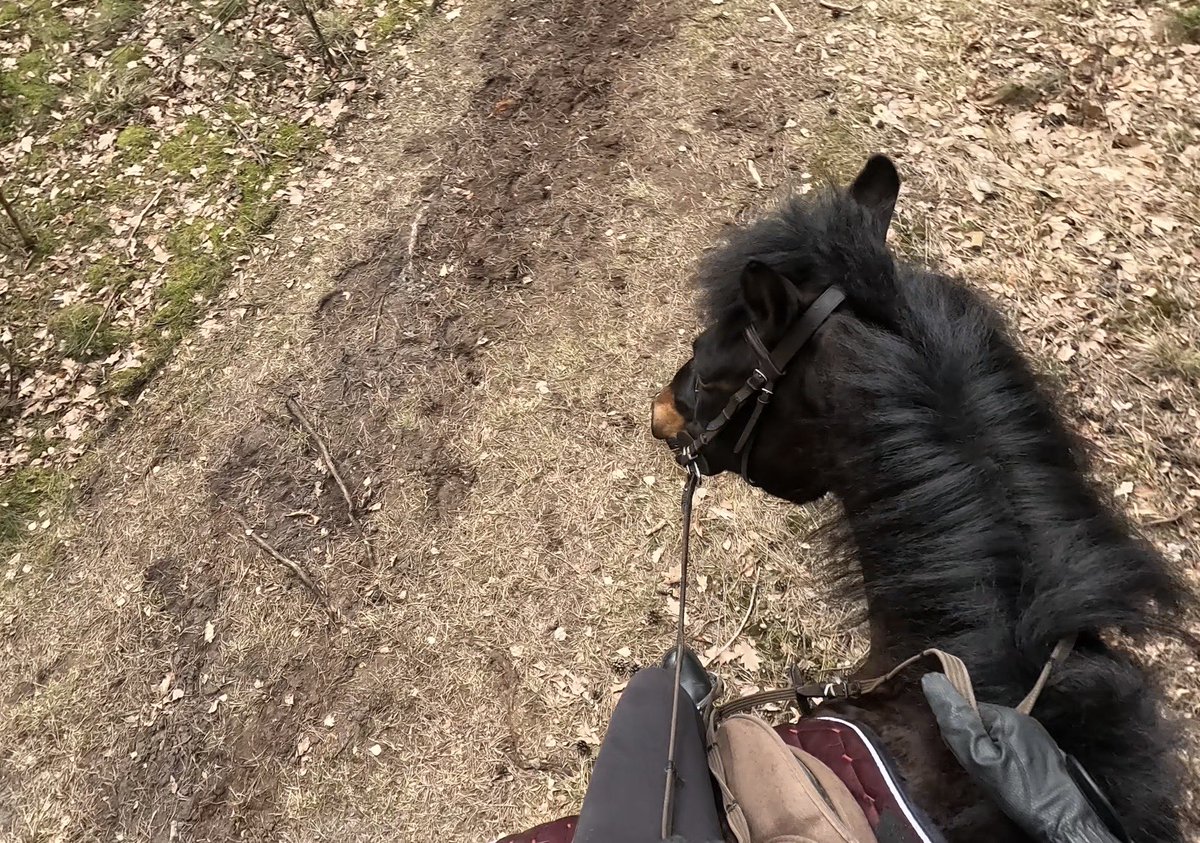 Ayanari💙😈DOKOMI 2026 tweet media