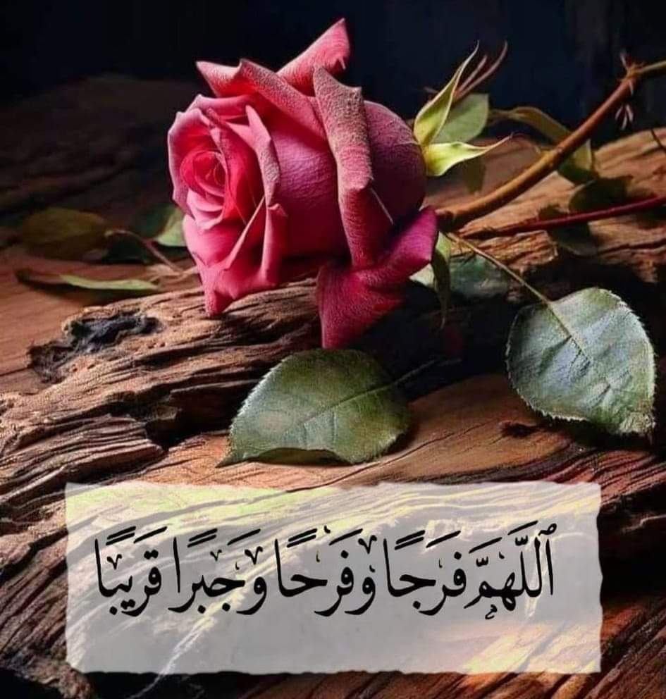 🌹🌹لـيـنـدا 🌹🌹 tweet media